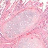 Open data de DigiLut