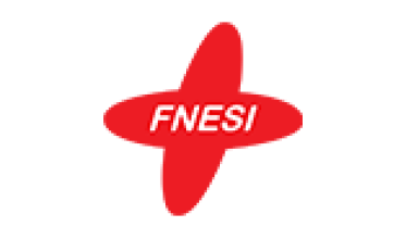 FNESI