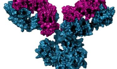 allergen_dc