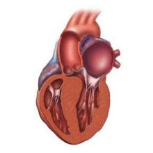 cardihack